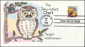 sawwhet_owl